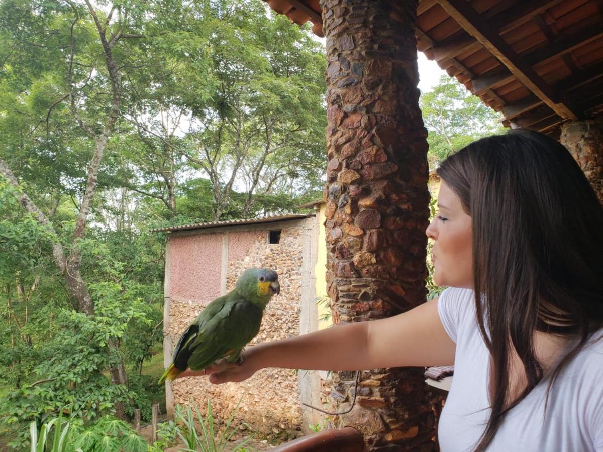 Fazenda Hotel Bem Ecologico Planaltina  Eksteriør billede